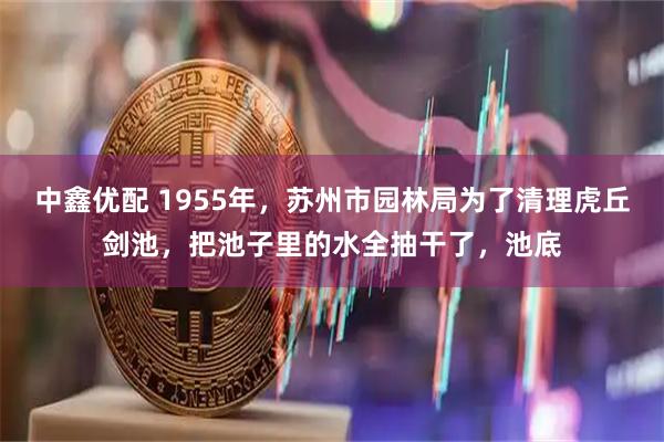 中鑫优配 1955年，苏州市园林局为了清理虎丘剑池，把池子里的水全抽干了，池底
